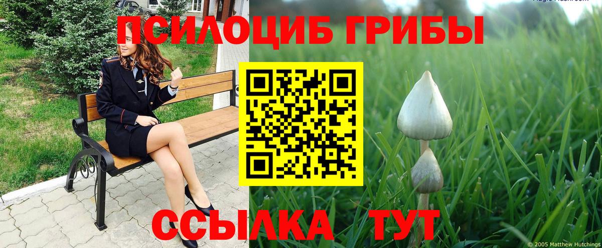 Севастополь  Галлюциногенные грибы MAGIC MUSHROOMS  Вход с VPN 